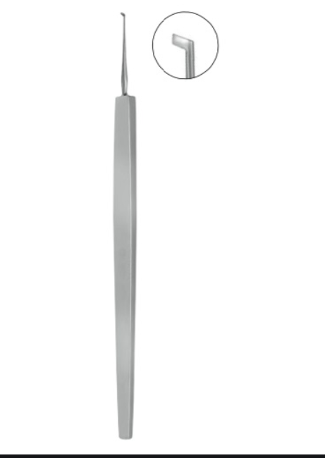 Francis Spud, Flag-Shaped, Sharp, 4 3/4" (12.0 Cm)